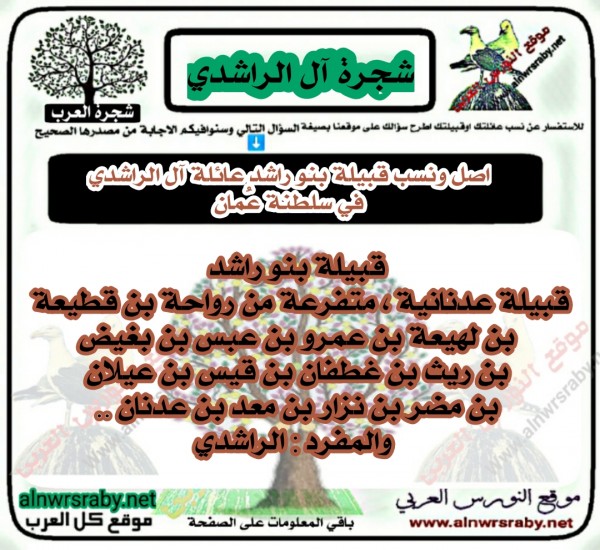 اصل ونسب قبيلة بنو راشد عائلة آل الرشيدي في سلطنة عمان والجزيرة العربية