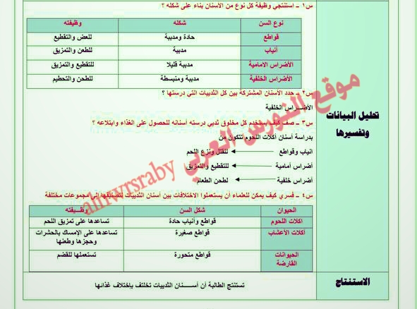 تقرير تجربة المقارنة بين أسنان الثدييات ا/3تقرير تجربة المقارنة بين أسنان الثديات