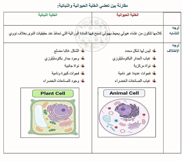 مقارنة بين بنية الخلية الحيوانية والخلية النباتية والبكتيريا