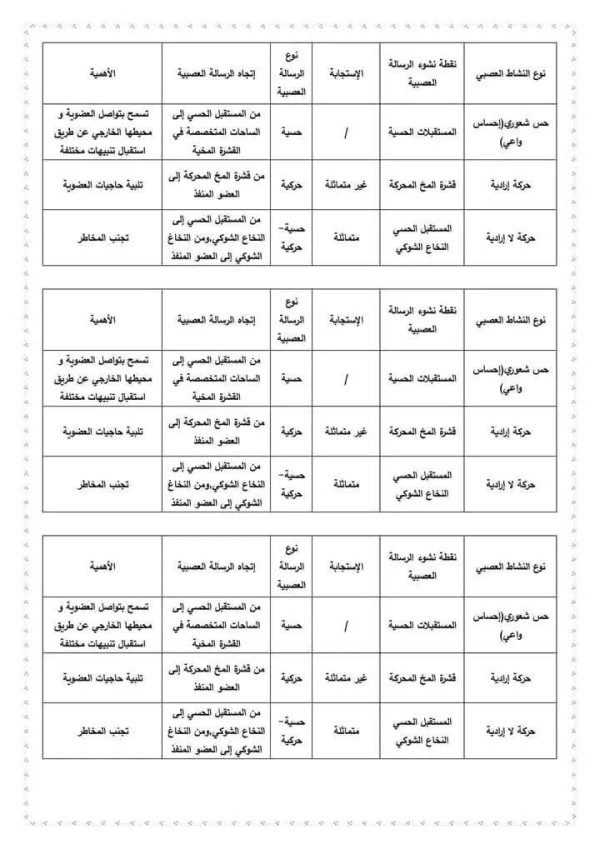 تعبير عن التربية مقدمة عرض خاتمة التربية اساس المجتمع