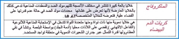 الفرق بين البالعات الكبيرة و البلعميات
