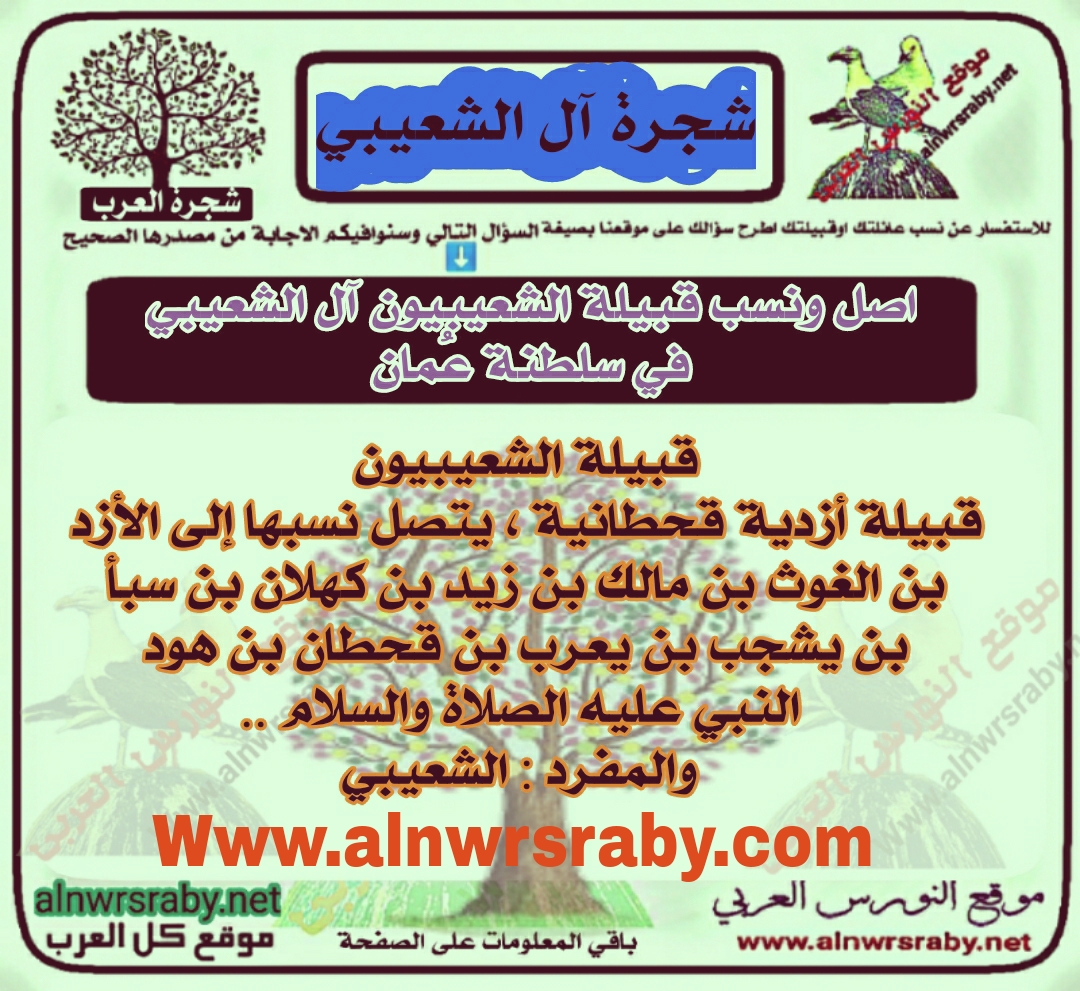 هو اصل ونسب قبيلة الشعيبيون عائلة الشعيبي ويش يرجعون باصلهم في سلطنة عمان والجزيرة العربية شجرة آل الشعيبي شجرة عائلة آل __ الشعيبي