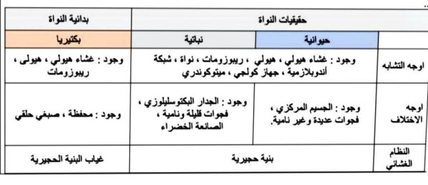 مقارنة بسيطة بين خلية بدائية النواة وخلية حقيقية النواة للسنة الثانية ثانوي علوم تجريبية