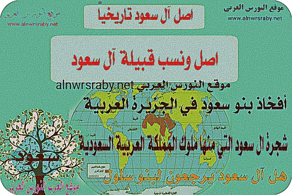 آل سعود ويش يرجعون أصل ونسب عائلة بني سعود التي من افخاذها ملوك المملكة العربية السعودية هل هم فخذ من سلول تابع القراءة لمعرفة جميع المعلومات