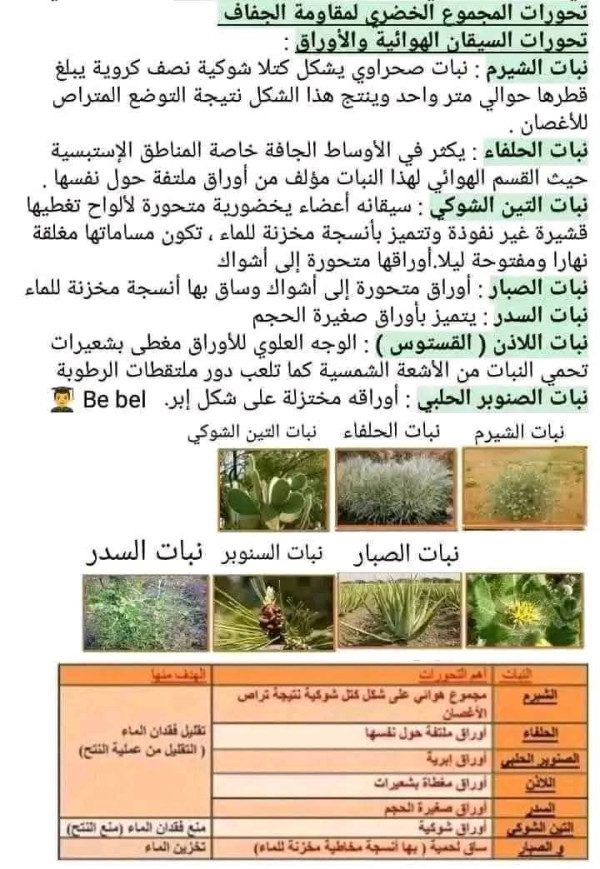 ملخص دروس الفصل الثاني علوم طبيعية ثانية 2 متوسط مظاهر تكيف النباتات في اوساطها