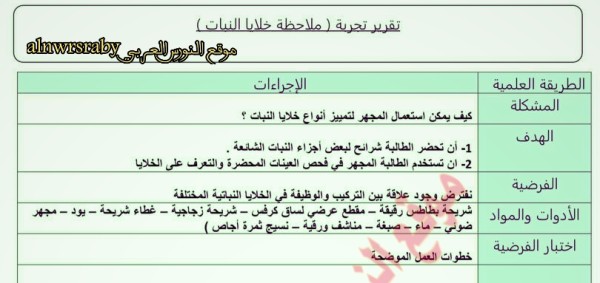 تقرير تجربة ملاحظة خلايا النبات