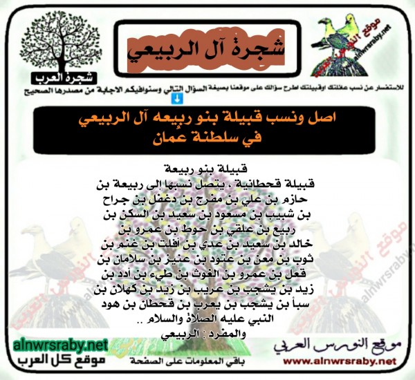 اصل ونسب قبيلة آل الربيعي قبيلة بنو ربيعة قبيلة قحطانية ، يتصل نسبها إلى ربيعة بن حازم بن علي بن مفرج بن دغفل بن جراح بن شبيب بن مسعود بن سعيد بن السكن بن ربيع بن علقي بن حوط بن عمرو بن خالد بن سعيد بن عدي بن أفلت بن غنم بن ثوب بن معن بن عتود بن عنيز بن سلامان بن قعل بن عمرو بن الغوث بن طيء بن أدد بن زيد بن يشجب بن عريب بن زيد بن كهلان بن سبأ بن يشجب بن يعرب بن قحطان بن هود النبي عليه الصلاة والسلام .. والمفرد : الربيعي