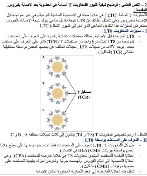 نص علمي حول كيفية نشاة وظهور LTc عند دخول المستضد في المناعة الخلوية نص علمي حول اللمفاويات السامة في في العضوية بعد الإصابة بفيروس