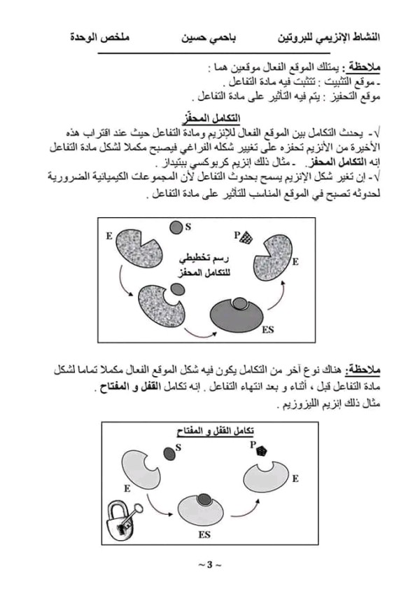 ملخص درس الانزيمات مفهوم الانزيم واهميتة