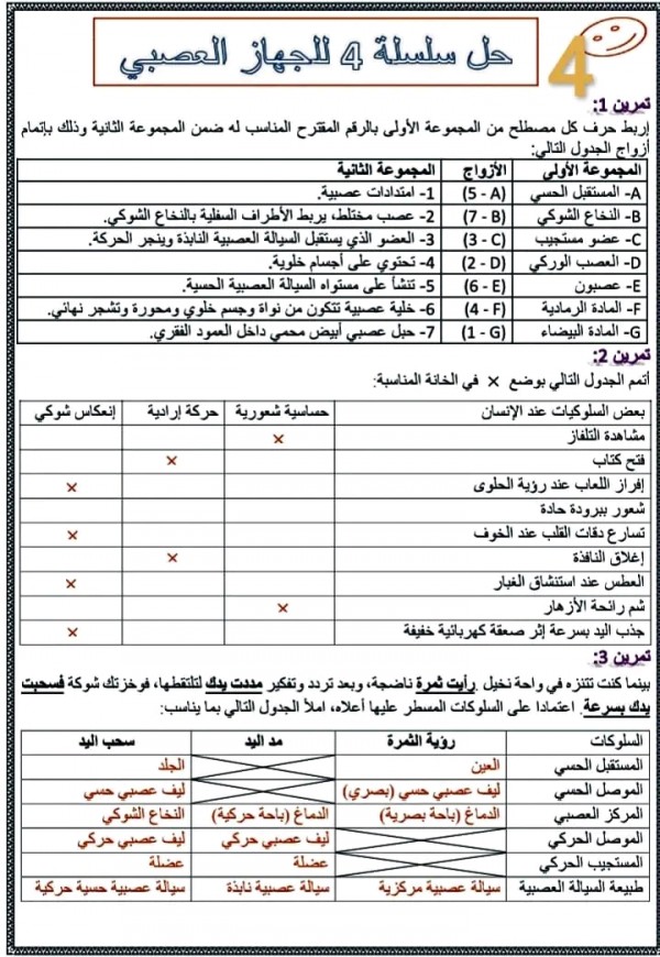 حل سلسلة 4 درس الجهاز العصبي ثالثة اعدادي سلسلة تمارين الجهاز العصبي مع التصحيح علوم ثالثة اعدادي