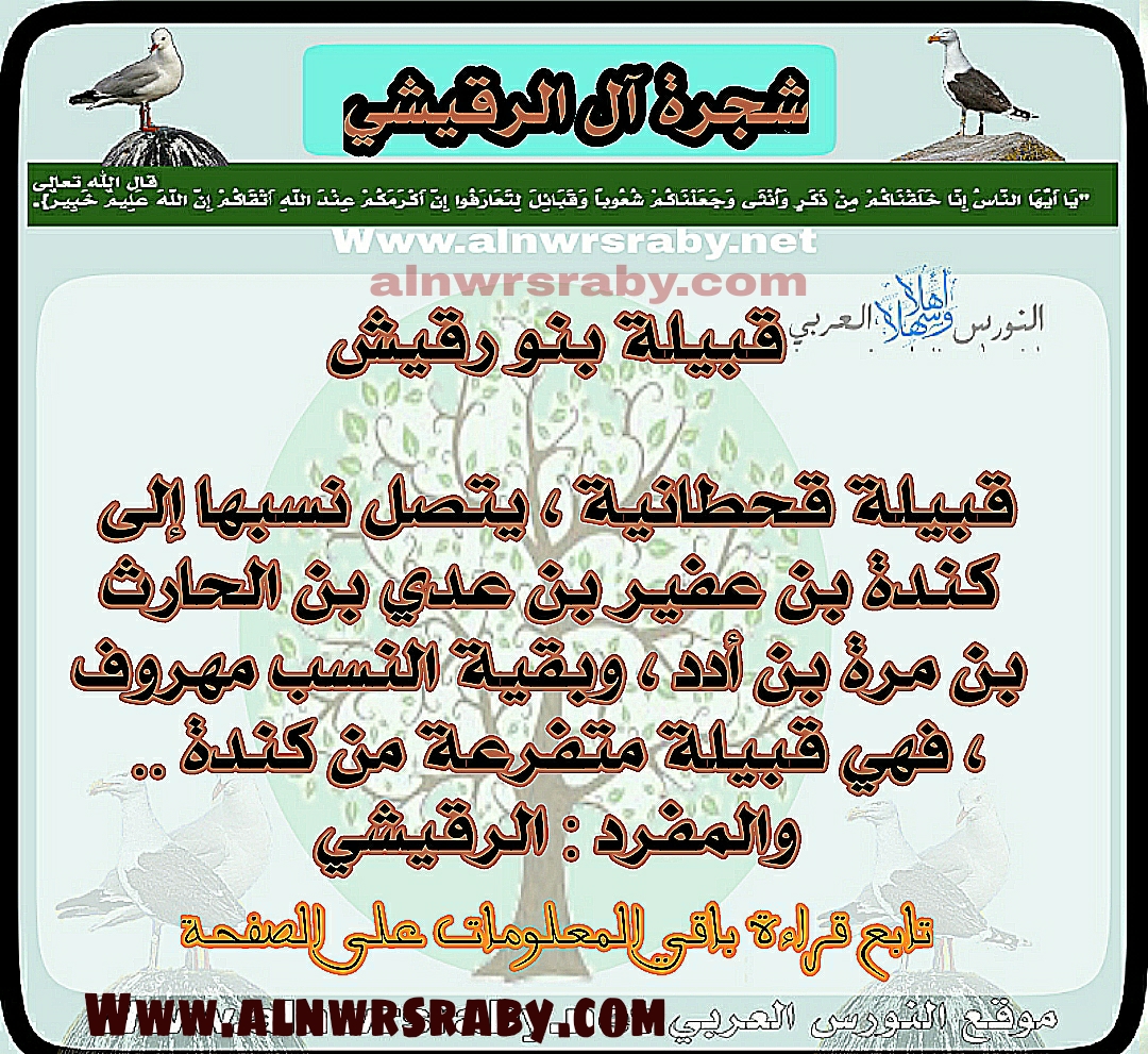 اصل ونسب قبيلة  بنو رقيش في عمان ؟ عائلة الرقيشي ويش يرجعون؟ شجرة آل الرقيشي في الجزيرة العربية  نسب قبيلة الرقيشي   ويكيبيديا   شجرة عائلة. الرقيشي     أولاد.الرقيشي      من واين اصلهم القديم   بنو رقيش