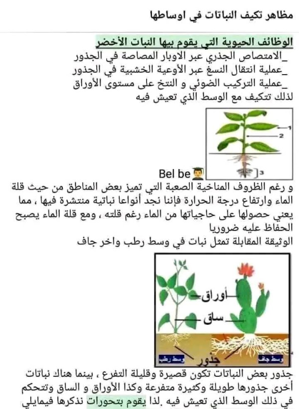 ملخص دروس الفصل الثاني علوم طبيعية ثانية 2 متوسط مظاهر تكيف النباتات في اوساطها