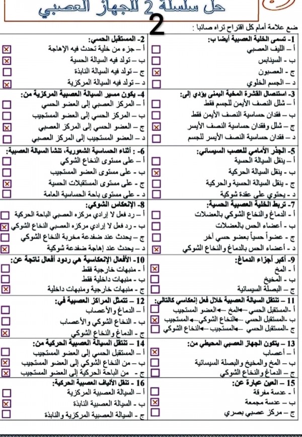 حل سلسلة 2: درس الجهاز العصبي سلسلة تمارين الجهاز العصبي مع التصحيح علوم ثالثة اعدادي