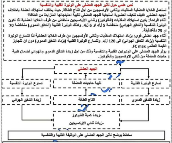نص علمي تأثير الجهد العضلي على الوتيرتين الوتيرة القلبية و التنفسية اولى ثانوي